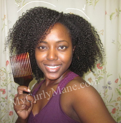Afro Pik Your Hair For Volume | My Curly Mane - Natural Hair Care Blog ...