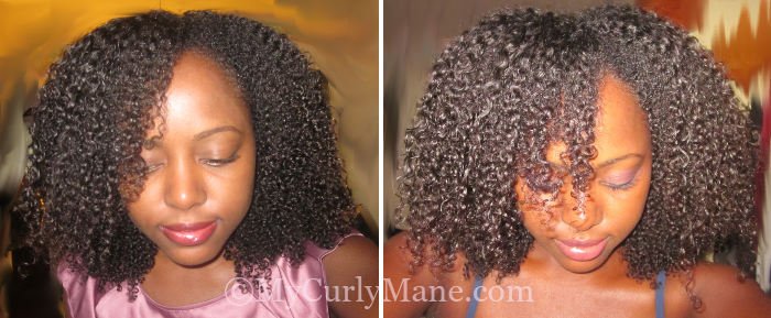 IC Gel-vs-Eco Styler Gel_Day1 | My Curly Mane - Natural Hair Care Blog,  Tips, and Inspiration